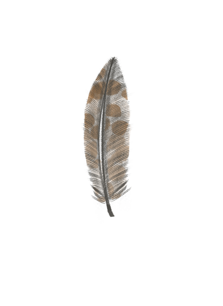 Feather #3