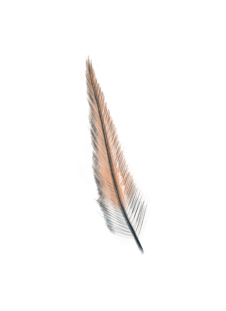 Feather #2