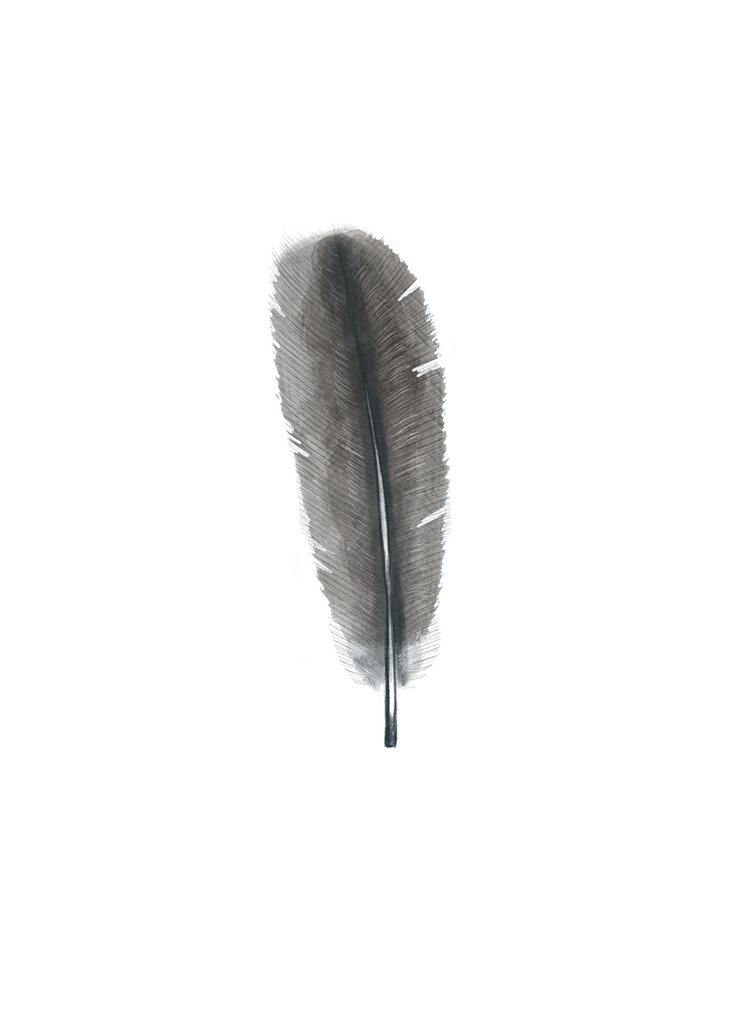 Feather #1